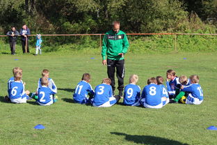 球队教练赛后策略点评及分析，球队教练在赛前给球队确定赛场战术